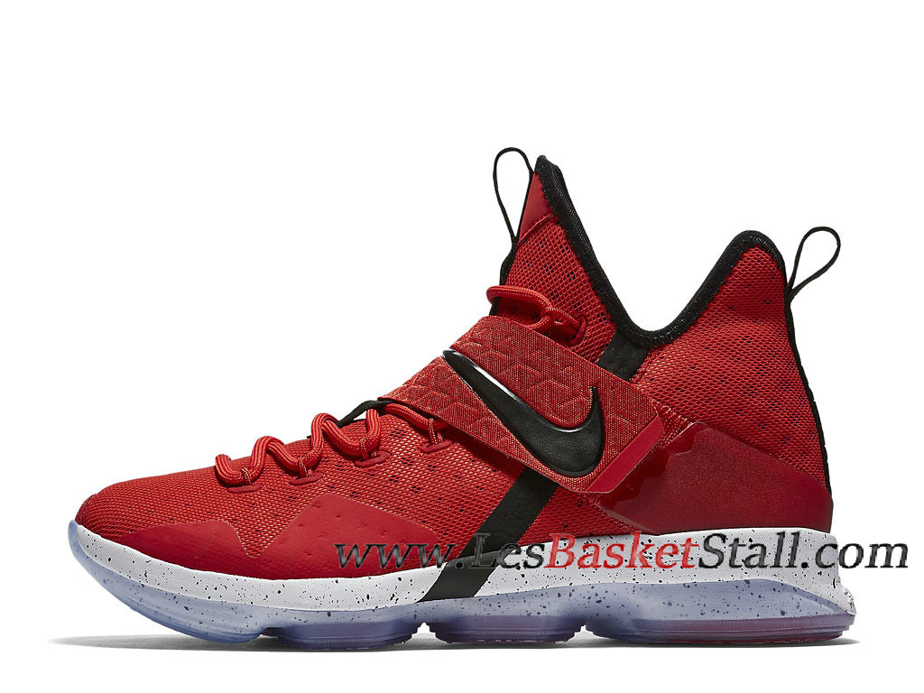 lebron 14 shoe